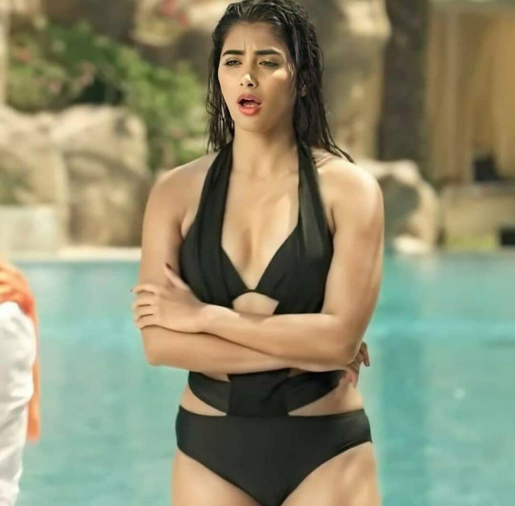 Pooja Hegde Bikini